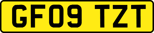 GF09TZT