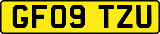 GF09TZU