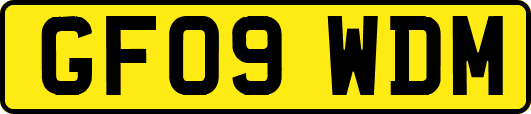 GF09WDM