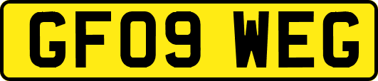 GF09WEG