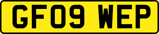 GF09WEP