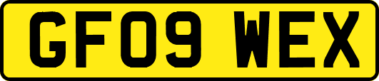 GF09WEX