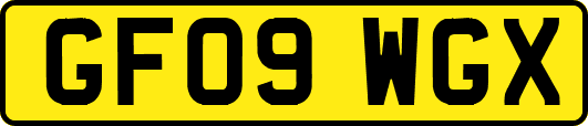 GF09WGX