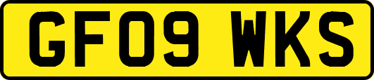 GF09WKS