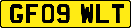 GF09WLT