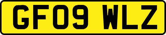 GF09WLZ