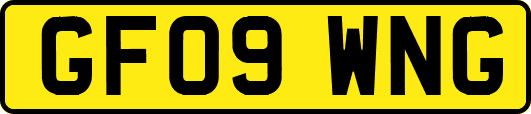 GF09WNG