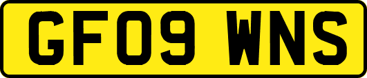 GF09WNS