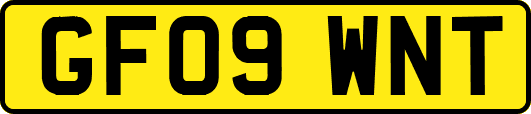 GF09WNT
