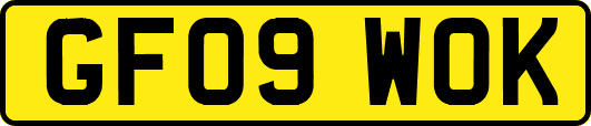 GF09WOK