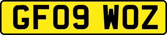 GF09WOZ