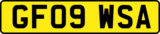 GF09WSA