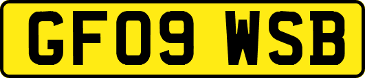 GF09WSB