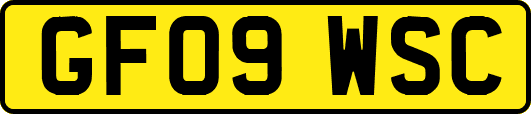 GF09WSC