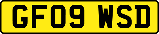 GF09WSD