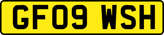 GF09WSH
