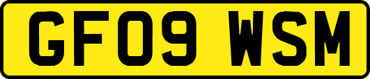 GF09WSM