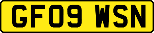 GF09WSN