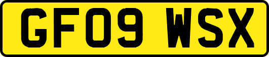 GF09WSX