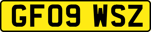GF09WSZ