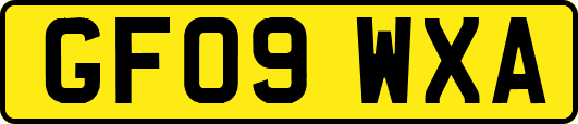 GF09WXA