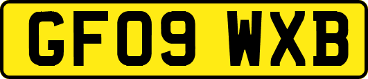 GF09WXB