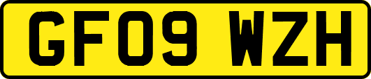 GF09WZH