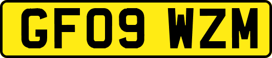 GF09WZM