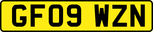 GF09WZN