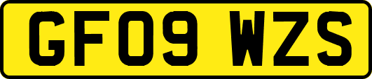GF09WZS