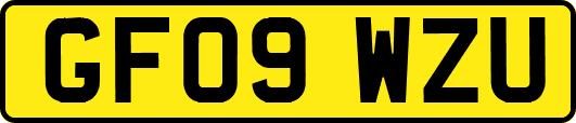 GF09WZU