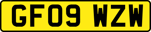 GF09WZW