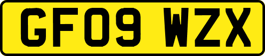 GF09WZX