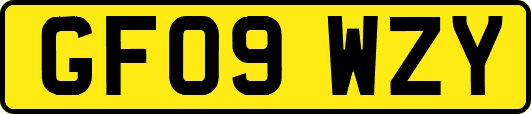 GF09WZY