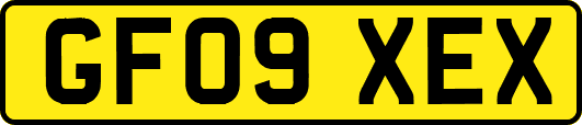 GF09XEX