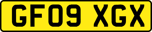 GF09XGX