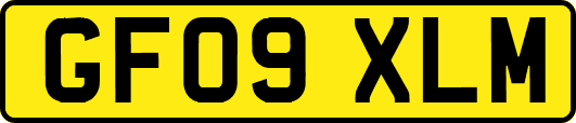 GF09XLM