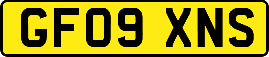 GF09XNS