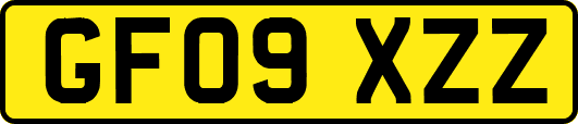 GF09XZZ