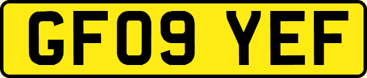 GF09YEF