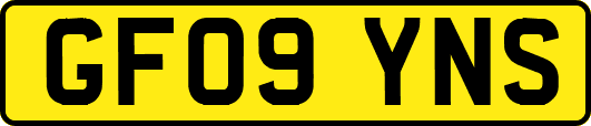 GF09YNS