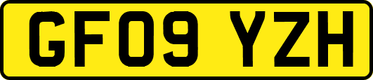 GF09YZH