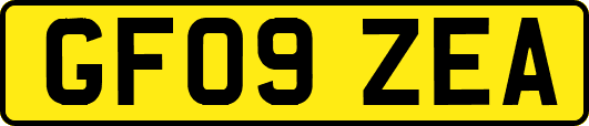 GF09ZEA