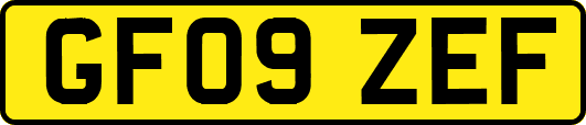 GF09ZEF