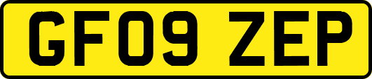 GF09ZEP