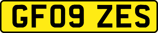 GF09ZES