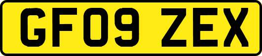 GF09ZEX