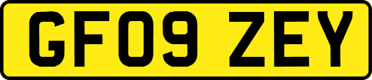 GF09ZEY
