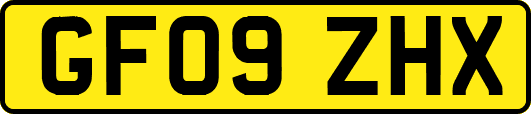 GF09ZHX