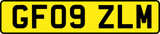 GF09ZLM